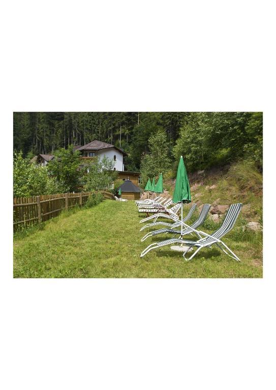 Hotel Oeko-landhotel Basler Hof Lauterbach (Baden-Wurttemberg)