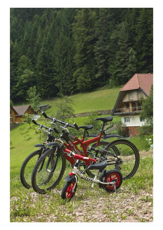 Basler Hof Hotel Lauterbach (Baden-Wurttemberg)
