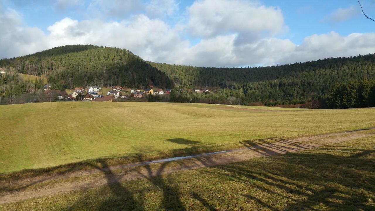 Oeko-landhotel Basler Hof Lauterbach (Baden-Wurttemberg)
