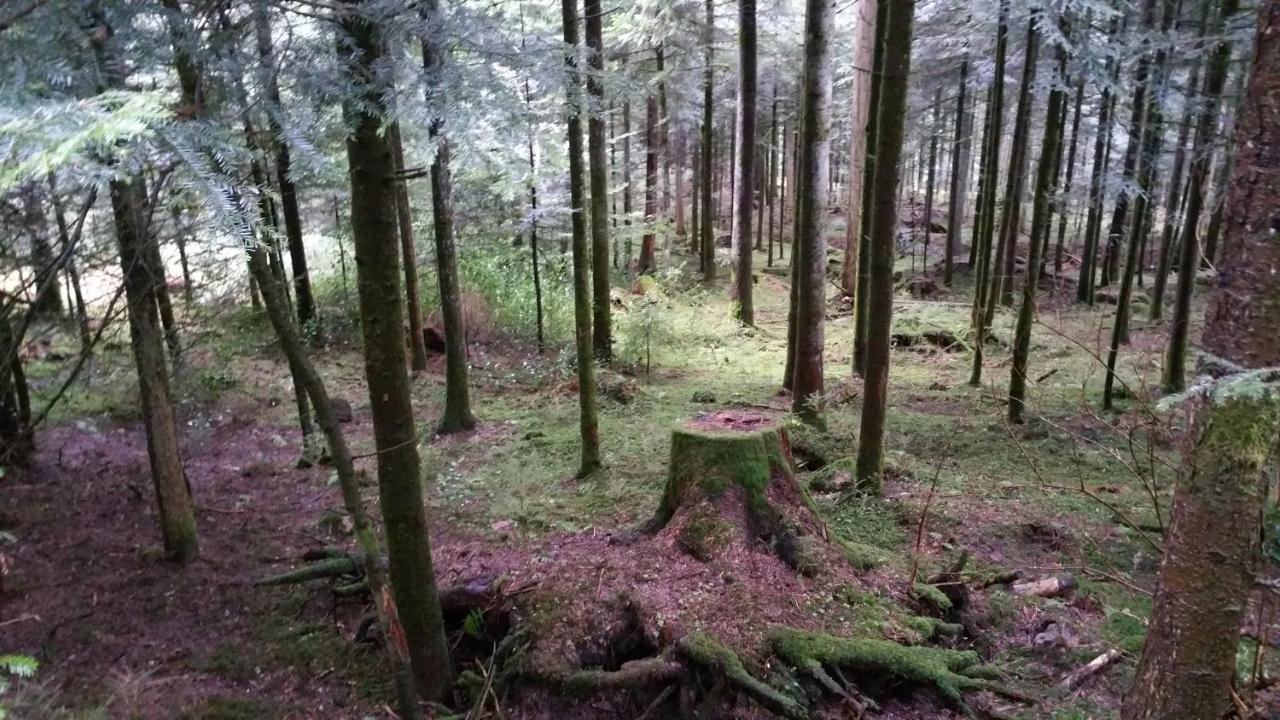 Basler Hof 4* Lauterbach (Baden-Wurttemberg)