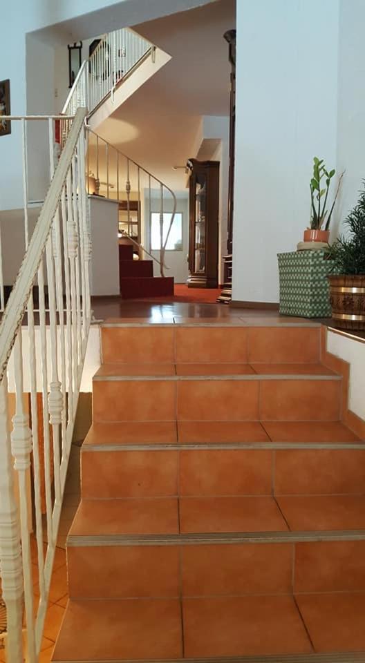 Basler Hof 4*