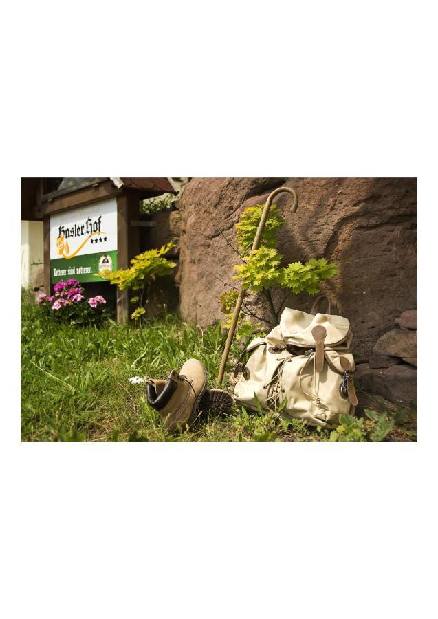 Basler Hof 4* Lauterbach (Baden-Wurttemberg)