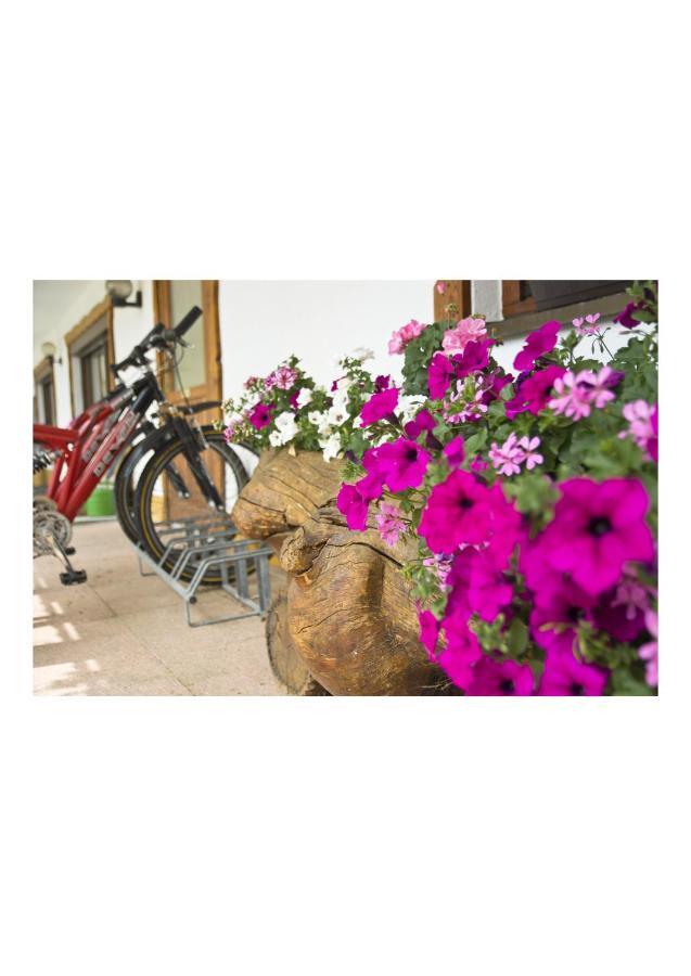 Oeko-landhotel Basler Hof 4* Lauterbach (Baden-Wurttemberg)